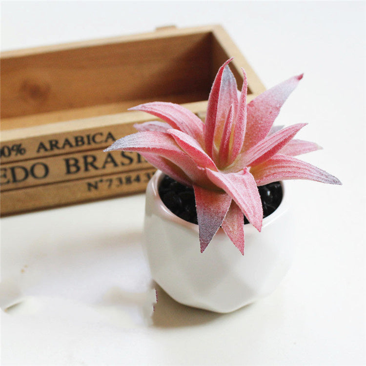 Mini Decorative Plant Pot