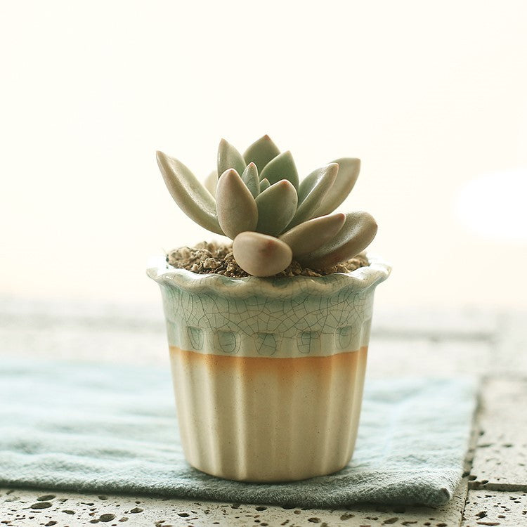 Faux Succulent