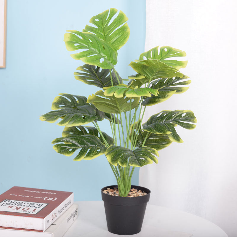LuxeLeaf Monstera