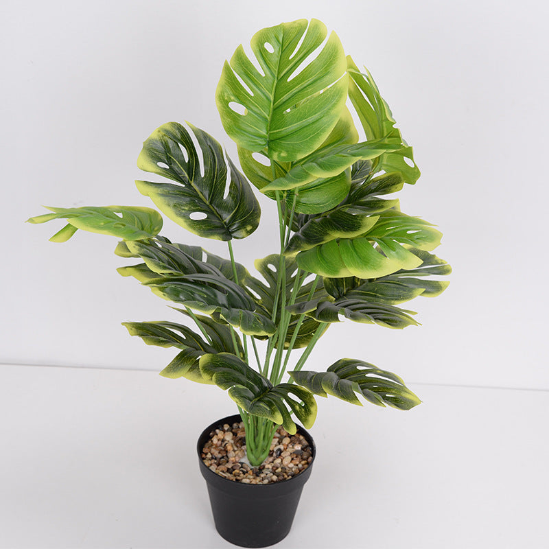 LuxeLeaf Monstera