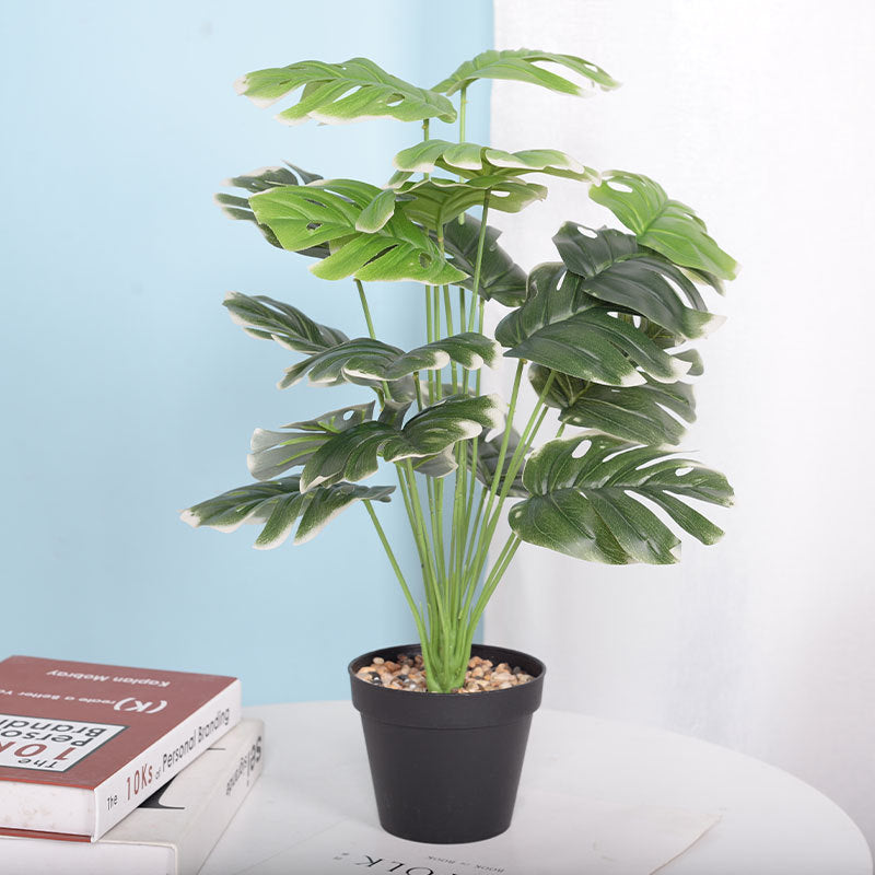 LuxeLeaf Monstera