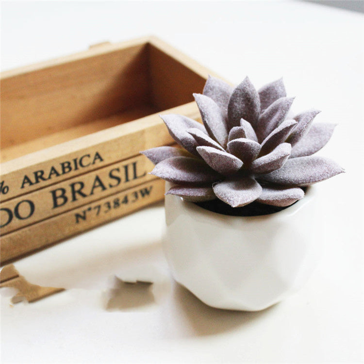 Mini Decorative Plant Pot