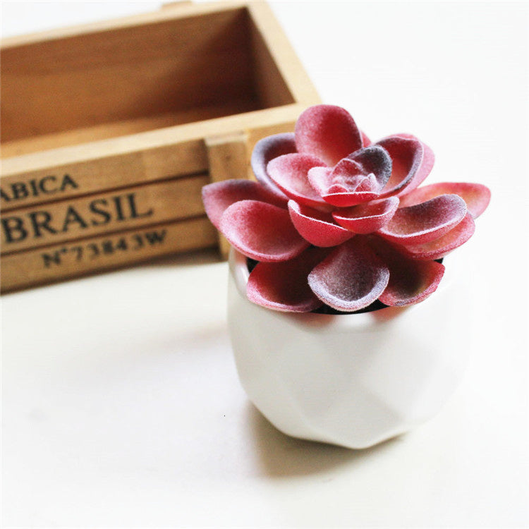 Mini Decorative Plant Pot