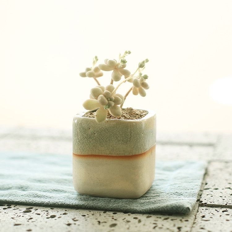 Faux Succulent