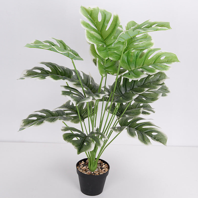LuxeLeaf Monstera