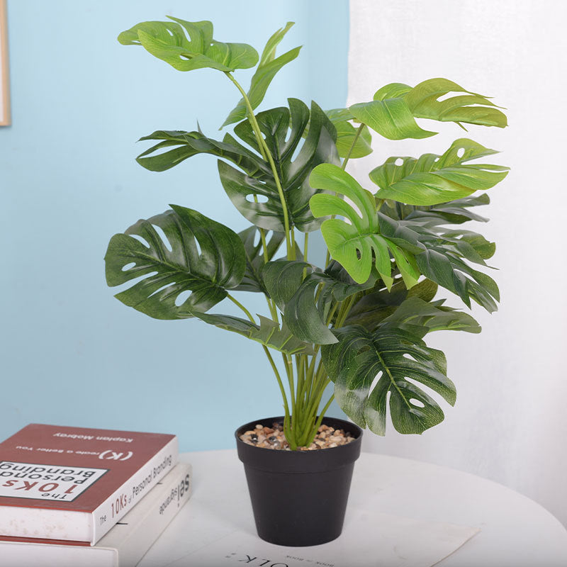 LuxeLeaf Monstera