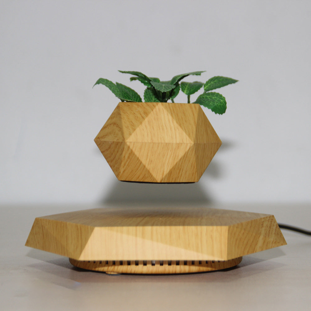 Geometric Garden