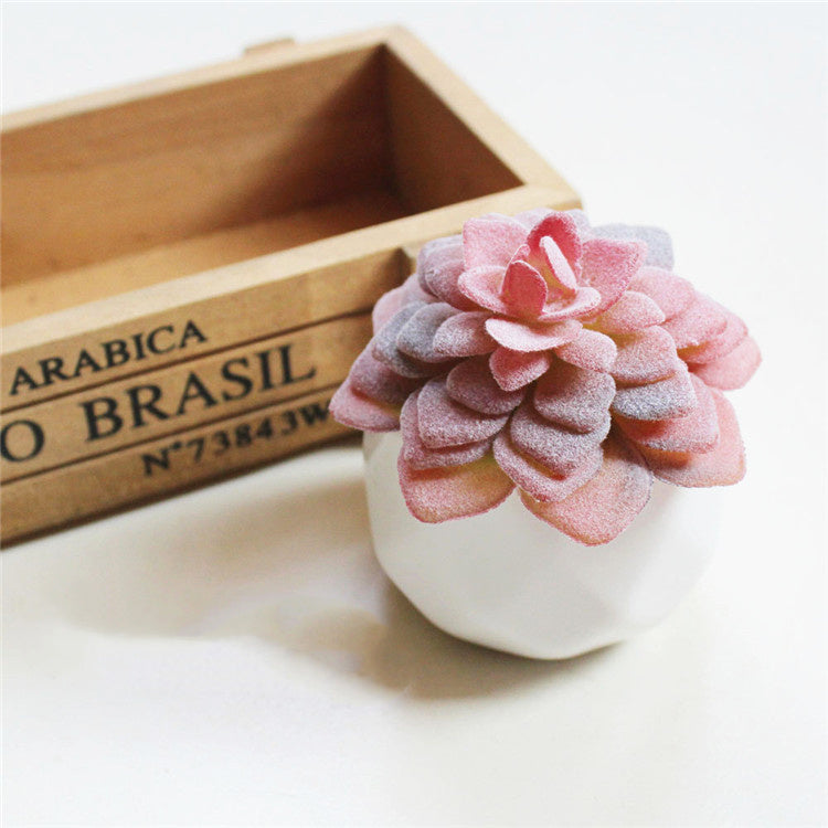 Mini Decorative Plant Pot