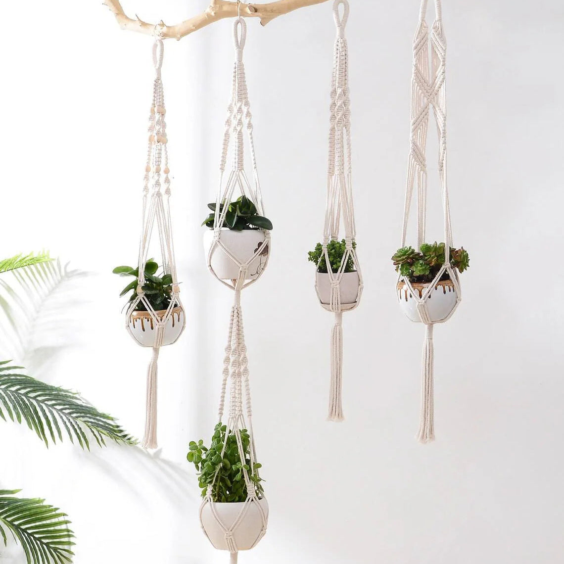 Knots & Greenery