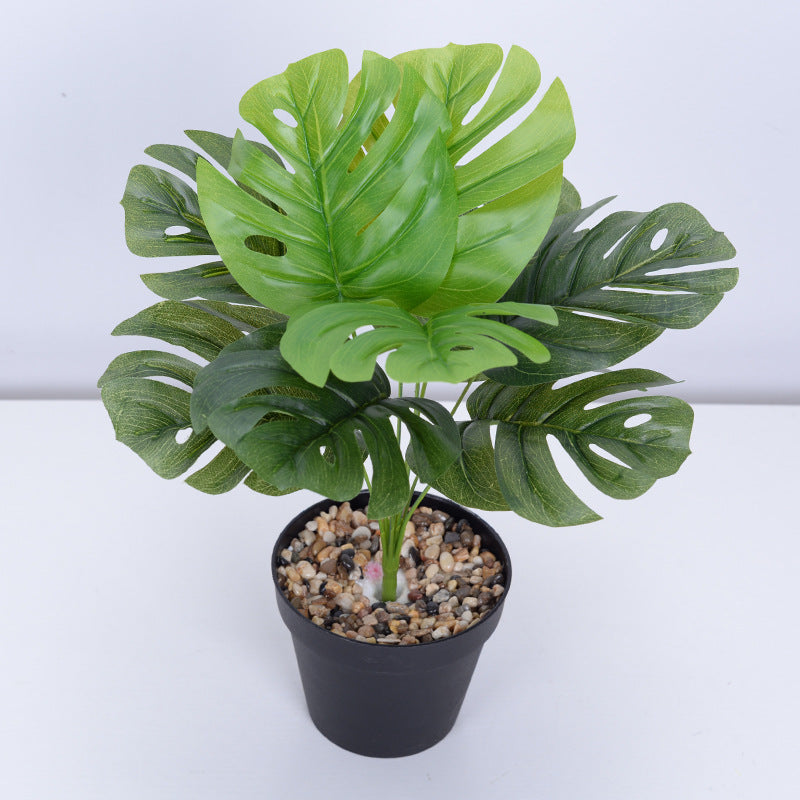 LuxeLeaf Monstera