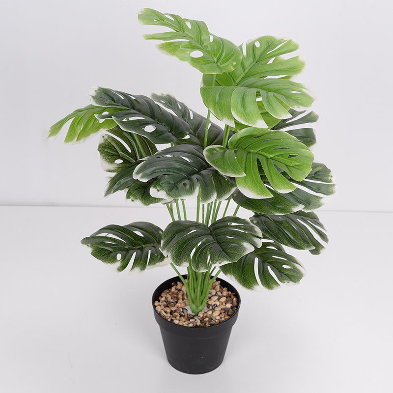 LuxeLeaf Monstera
