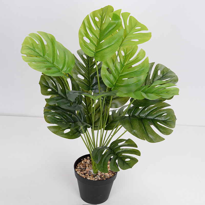 LuxeLeaf Monstera