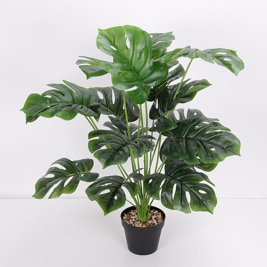 LuxeLeaf Monstera