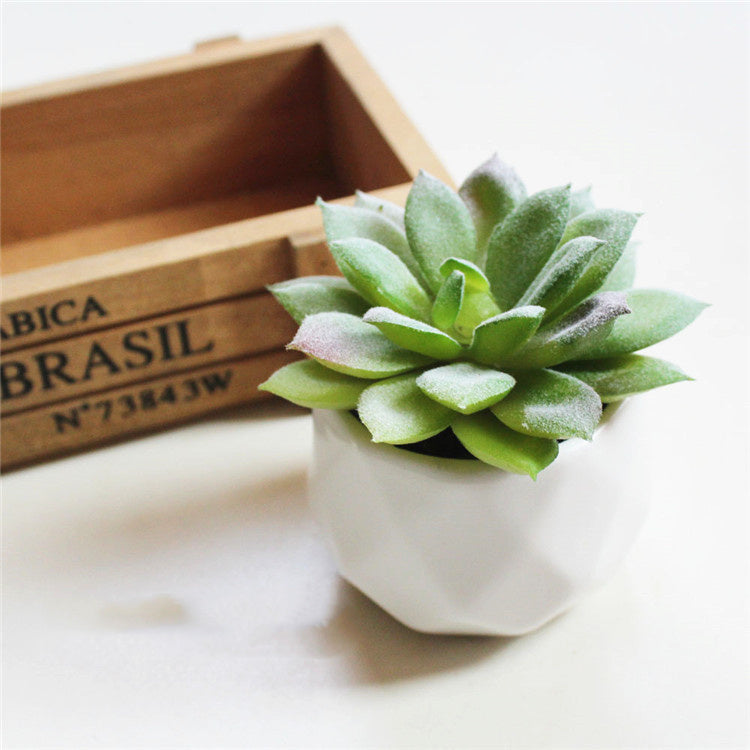 Mini Decorative Plant Pot