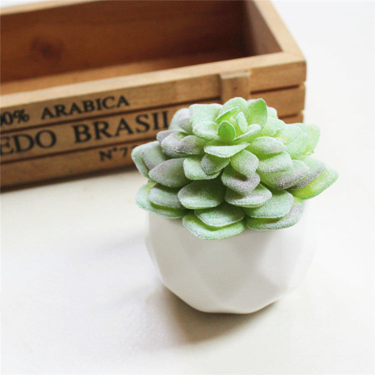 Mini Decorative Plant Pot