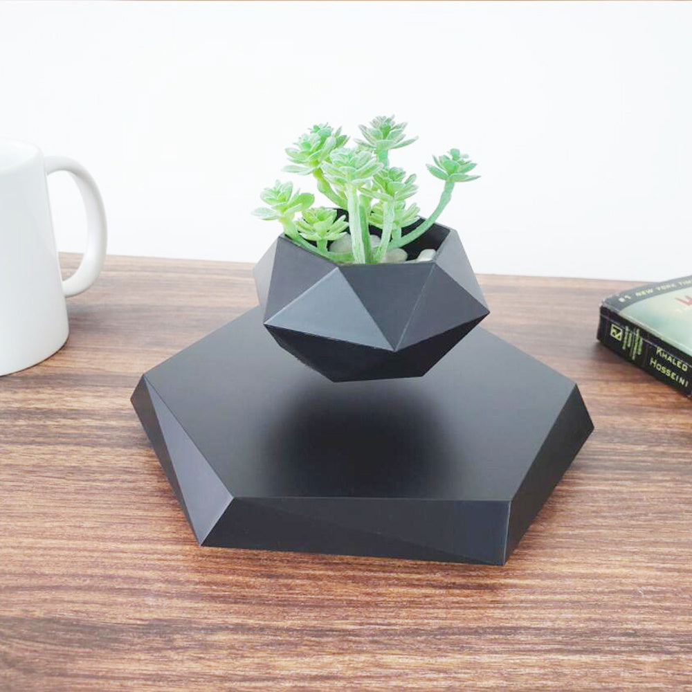 Geometric Garden