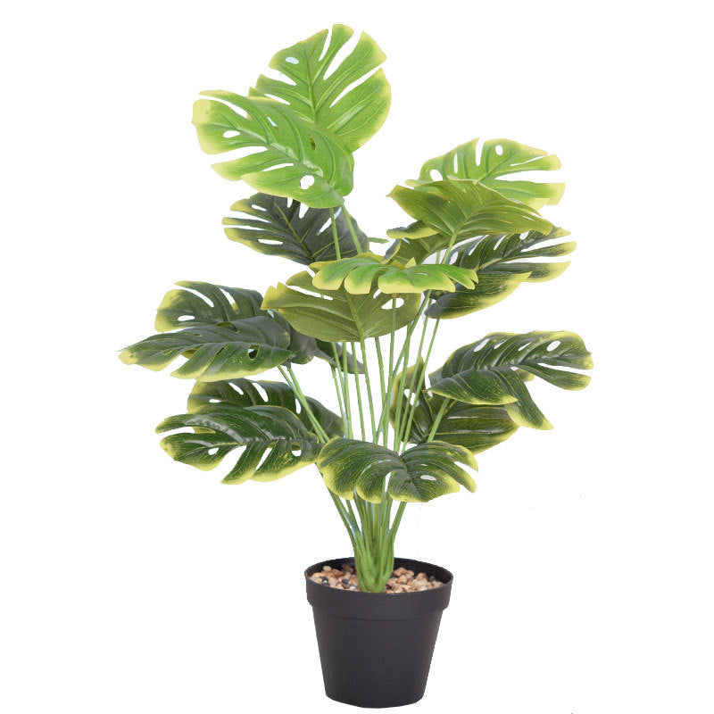 LuxeLeaf Monstera