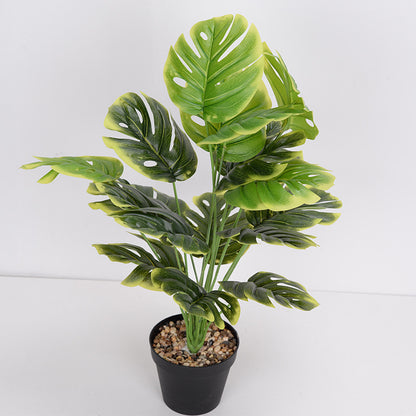 LuxeLeaf Monstera
