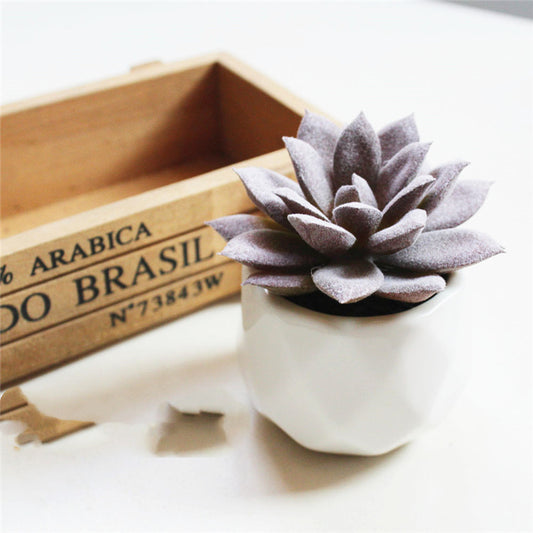 Mini Decorative Plant Pot