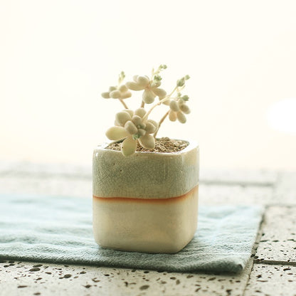 Faux Succulent