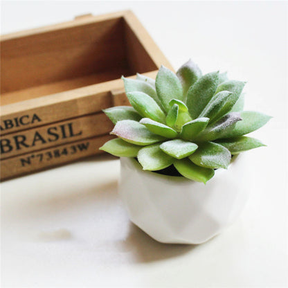 Mini Decorative Plant Pot