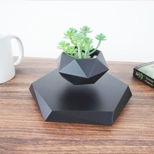 Geometric Garden